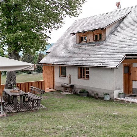 Srednja Vas v Bohinju Holiday House Franc מראה חיצוני תמונה